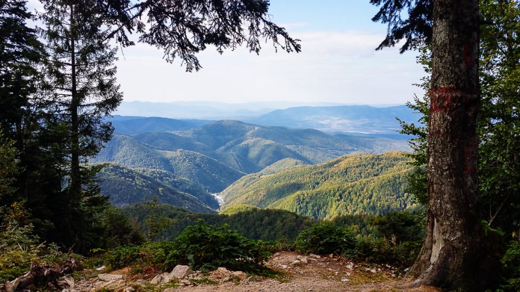 Random view in Transylvania mountains